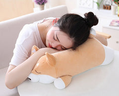 Shiba Inu Plushies 🐶