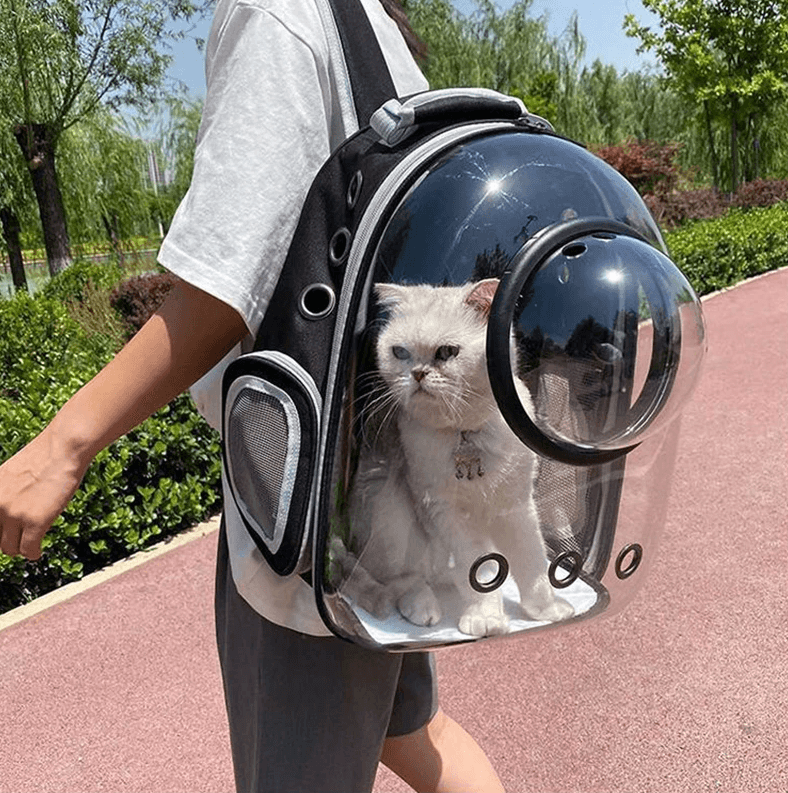 Bubble Space Capsule Pet Travel Bag - My Kawaii Space