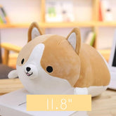 Shiba Inu Plushies 🐶