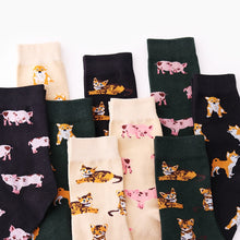 Load image into Gallery viewer, Shiba Inu/Kitten/Piggy Pattern Socks
